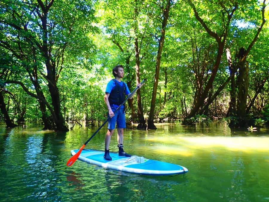 Ishigaki Island: SUP or Canoeing and Snorkeling at Blue Cave - A calm start among Miyara River mangroves