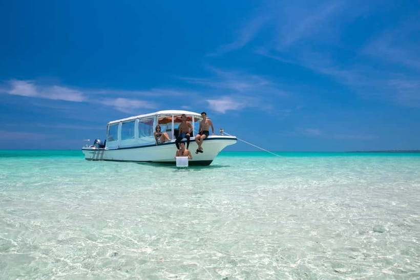 Ishigaki: Mangrove SUP or Canoe & Phantom Island Snorkeling - Key points at a glance