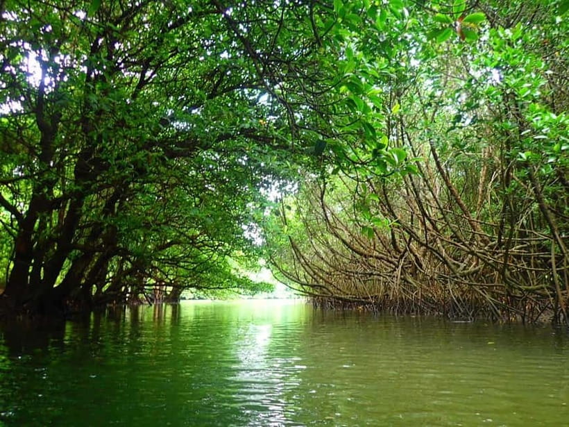 Ishigaki: Mangrove SUP or Canoe & Phantom Island Snorkeling - Starting at Ishigaki Port and heading offshore