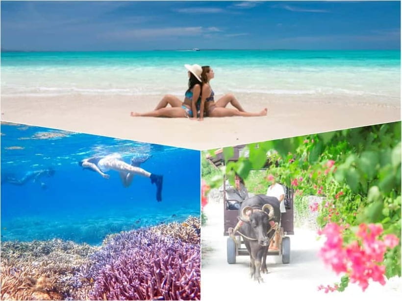 Ishigaki: Phantom Island Snorkeling and Taketomi Sightseeing - Key points to know before booking