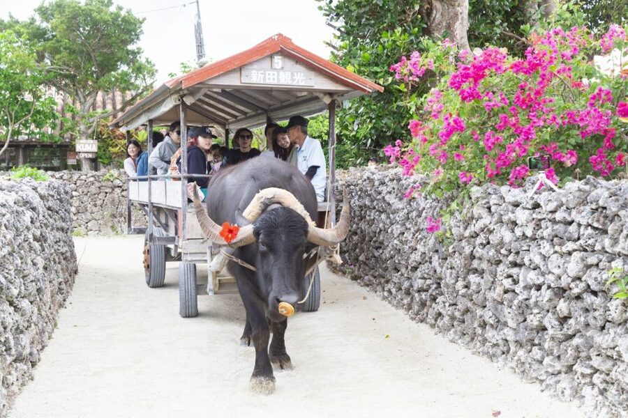 Ishigaki: Phantom Island Snorkeling and Taketomi Sightseeing - Snorkeling with gear and a guide