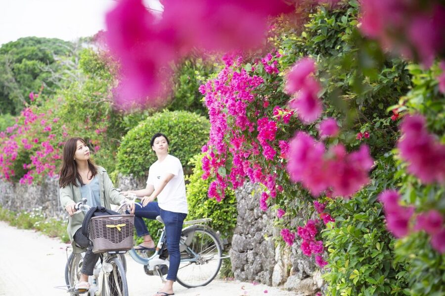 Ishigaki: Phantom Island Snorkeling and Taketomi Sightseeing - Language, safety, and comfort