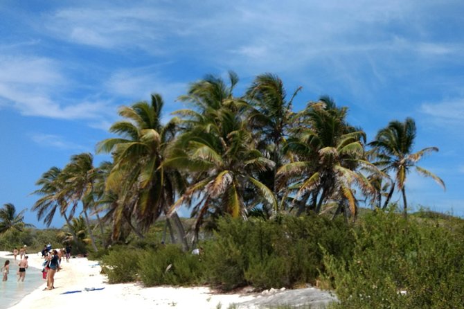 Isla Contoy and Isla Mujeres Tour with Snorkeling from Cancun - A Caribbean barbecue beneath the palms