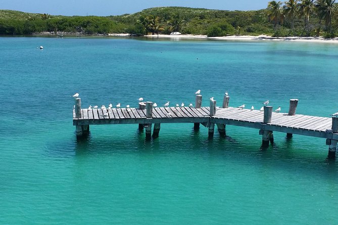 Isla Contoy and Isla Mujeres Tour with Snorkeling from Cancun - Isla Contoy, a rare quiet stop