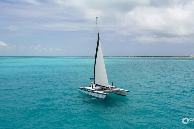 Isla Mujeres Basic Catamaran Tour with Snorkeling and Open Bar - What the $53 price really gets you