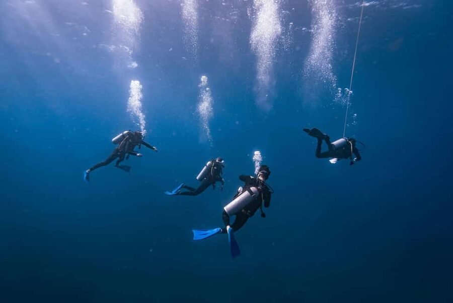 Isla Mujeres: Catamaran Ride with Open Bar, Snorkeling, and Lunch - A 30-minute reef stop in clear water