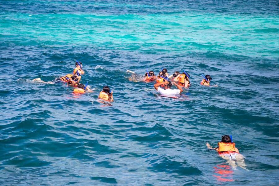 Isla Mujeres Catamaran, Snorkel & Buffet Lunch - Who will enjoy this excursion most