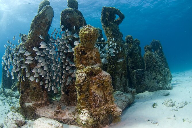 Isla Mujeres Catamaran Tour with Snorkeling at MUSA, Buffet Lunch & Open Bar - Practical details for a smoother day