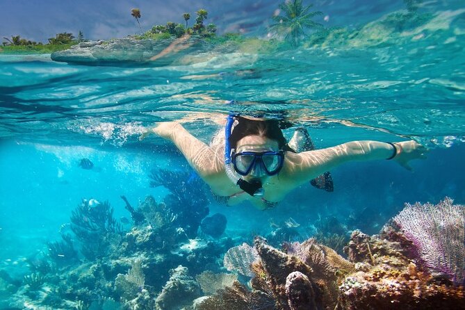 Isla Mujeres Catamaran Tour with Snorkeling, Open Bar & Buffet - Two hours to explore the center of Isla Mujeres