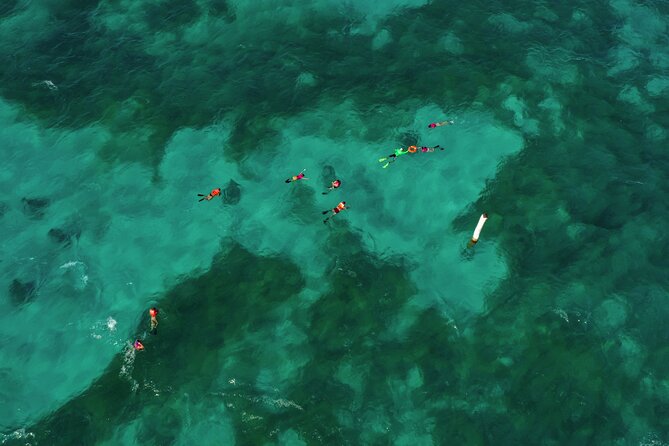 Isla Mujeres Island and Snorkeling Tour - Downtown Isla Mujeres and the one-hour walk