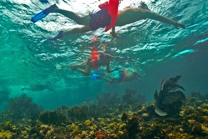 Isla Mujeres, Snorkel, Lunch & Pick Up from Cancun to P.Morelos - From Hotel Pickup to Punta Sam