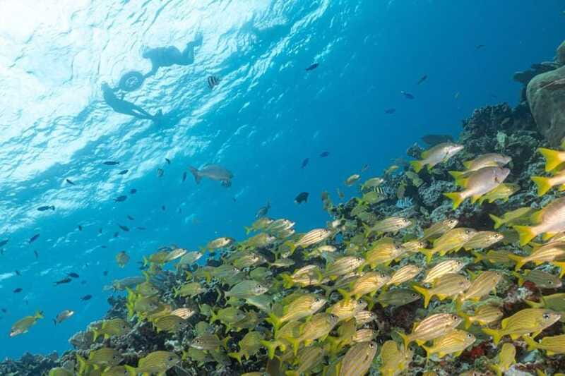 Isla Mujeres: Snorkel Tour at Musa and Manchones Reef - Clear water, but not always calm water