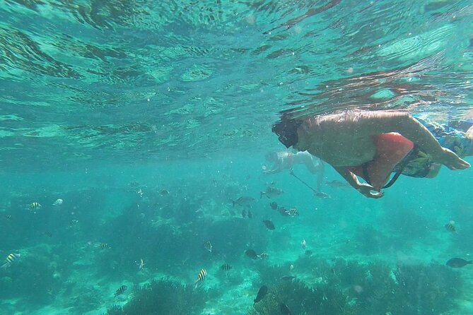 Isla Mujeres Snorkeling Adventure at the Underwater Museum - What the $52 price really buys you