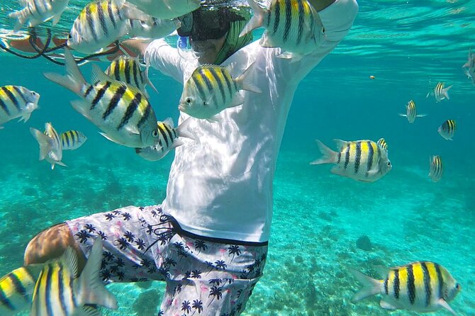 Isla Mujeres Snorkeling Adventure at the Underwater Museum - What families and first-time snorkelers should know