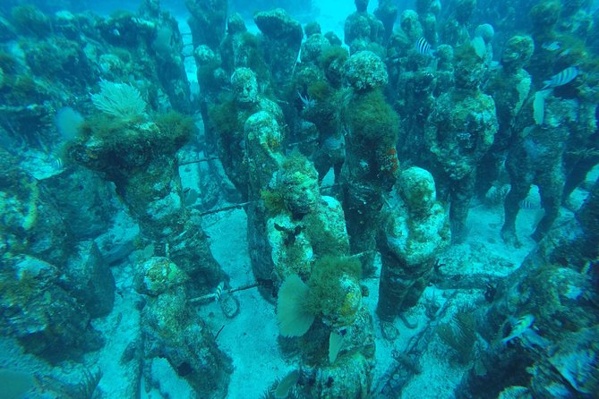 Isla Mujeres Snorkeling Tour Adventure - MUSA: statues, a car, and mixed visibility