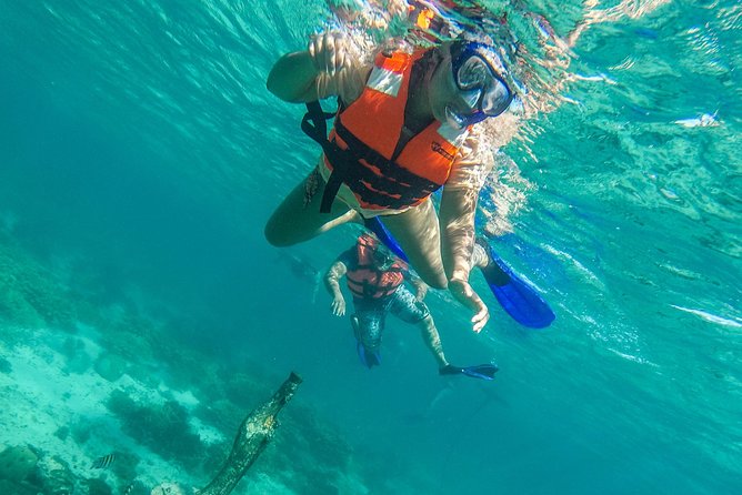 Isla Mujeres Snorkeling Tour Adventure - Lighthouse Reef: the best stop for fish