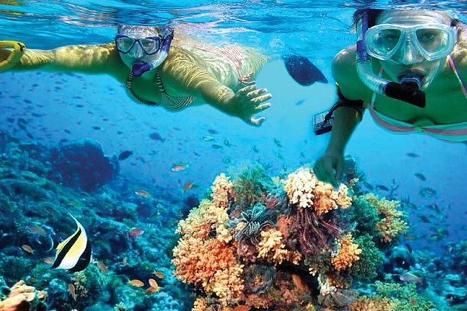 Isla Mujeres tour in a Catamaran with snorkel, open bar, lunch - Isla Mujeres and the private beach club
