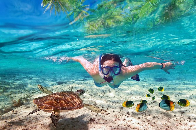 Isla Mujeres tour in a Catamaran with snorkel, open bar, lunch - Leaving Marina Las Perlas in Cancun