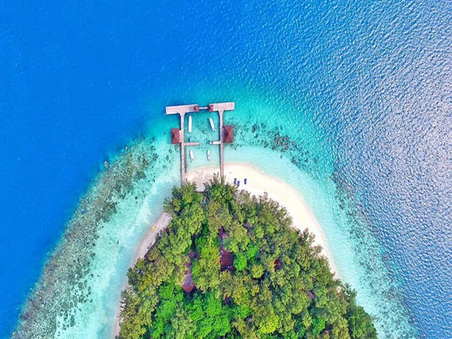 Jakarta: Thousand Island Tour with Canoeing and Snorkeling - Booking advice that can save your day