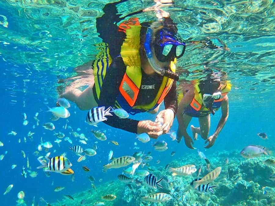 Jakarta: Thousand Island Tour with Canoeing and Snorkeling - Snorkeling, swimming, and canoeing