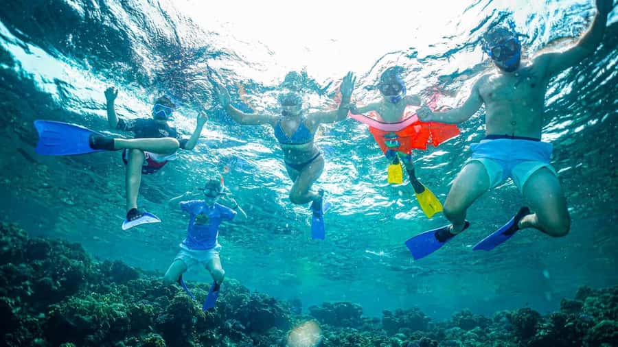 Jeddah: Guided Snorkeling Trip with Snacks and Drinks - What the Jeddah snorkeling day is really like