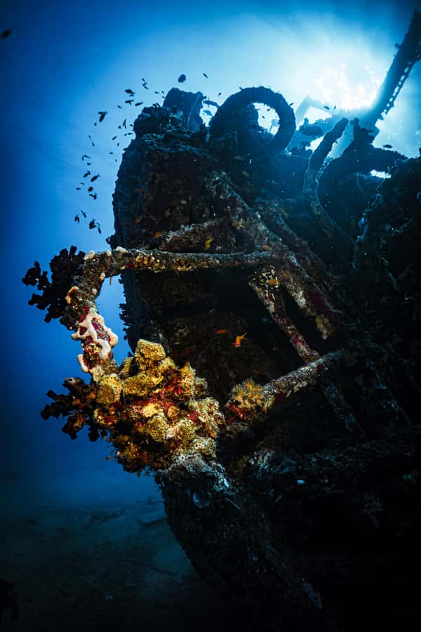 Jeddah: Guided Snorkeling Trip with Snacks and Drinks - Snacks, drinks, and the value of $110