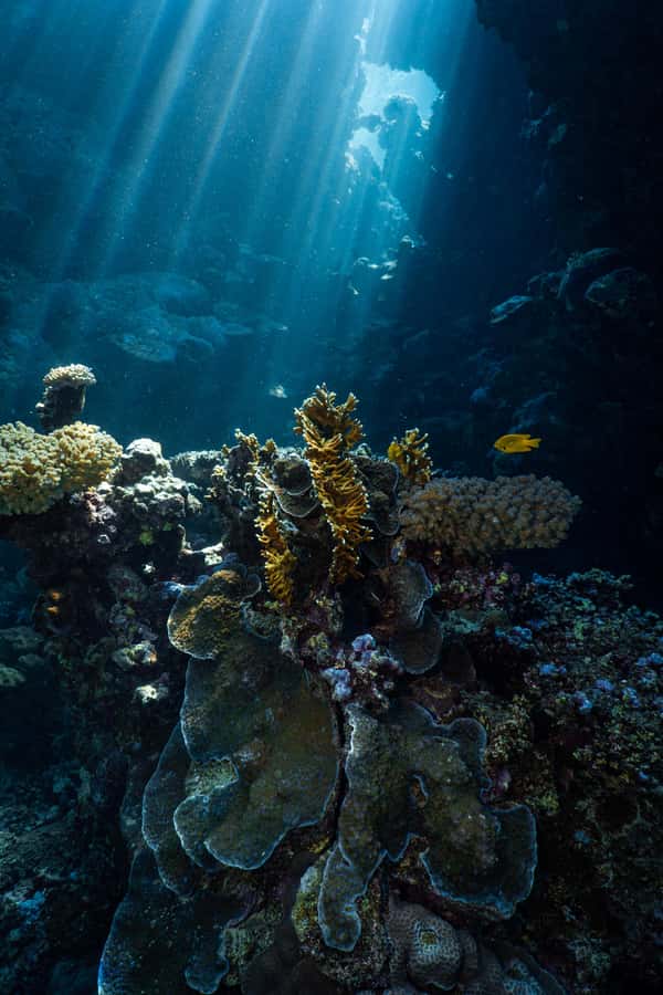 Jeddah: Guided Snorkeling Trip with Snacks and Drinks - Who will enjoy this Red Sea outing most?