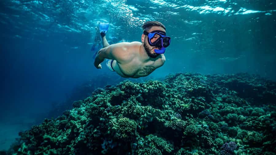 Jeddah: Guided Snorkeling Trip with Snacks and Drinks - Setting out across the Red Sea