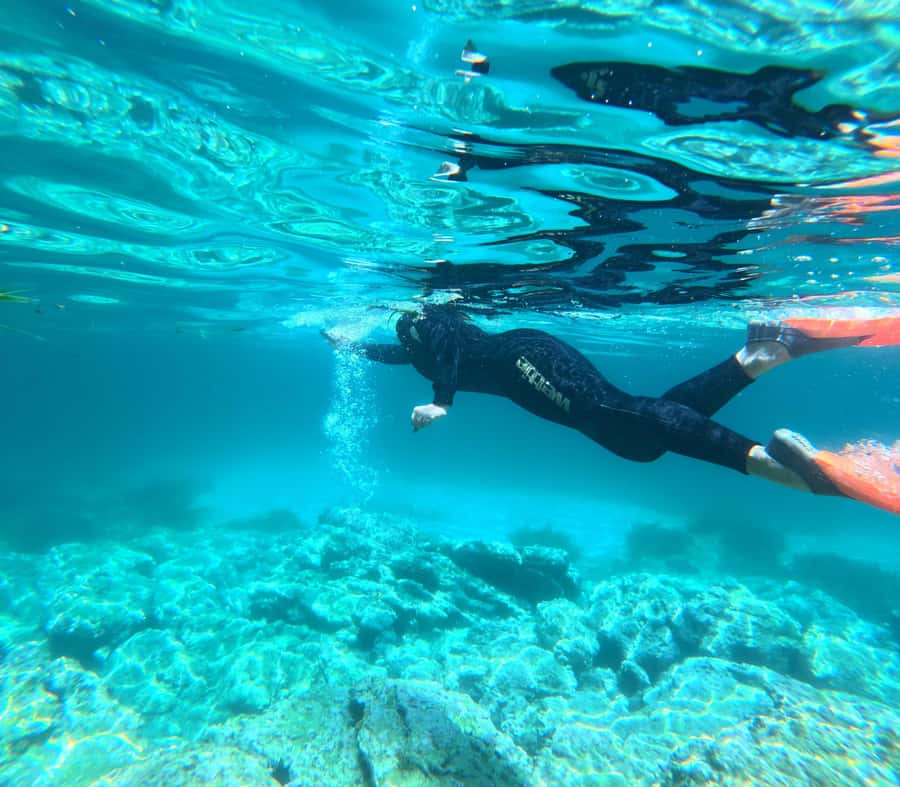 Jervis Bay: Guided Snorkelling Tour with expert guide - Who should book this experience?
