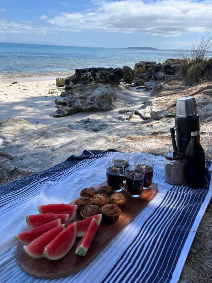 Jervis Bay: Guided Snorkelling Tour with expert guide - A gentle pace for families and first-timers