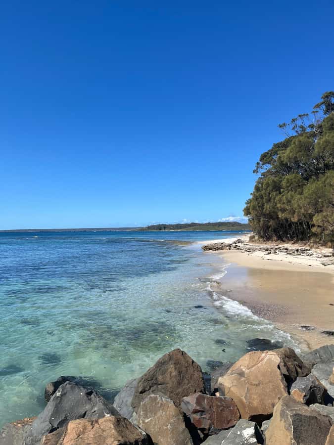 Jervis Bay: Guided Snorkelling Tour with expert guide - What to bring and what to leave behind