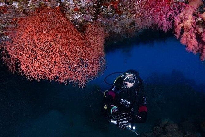 Journey of Diving or Snorkelling from a Boat - Four hours on the Red Sea