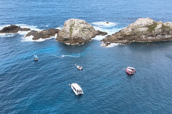 Julian Rocks: Premier Snorkeling Tour Byron Bay - What Is Included for $92.52