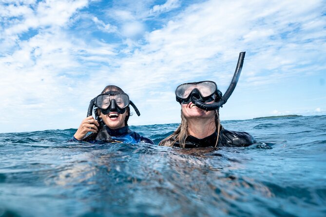 Julian Rocks: Premier Snorkeling Tour Byron Bay - Conditions, Cancellations, and Practical Planning