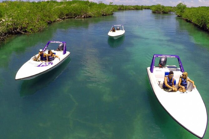 Jungle Tour Adventure in Cancun with Snorkeling - What the guide adds to the outing