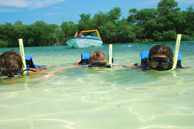 Jungle Tour Adventure in Cancun with Snorkeling - Timing, group size, and practical comfort