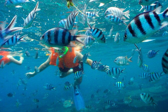 Jungle Tour Adventure in Cancun with Snorkeling - Snorkeling near the Mayan reef