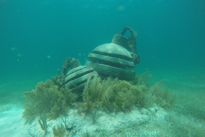 Jungle Tour & Snorkel at Punta Nizuc Reef , Underwater museum - Driving Through the Cancun Mangroves
