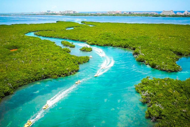 Jungle Tour with Snorkel in Cancun - A Two-Hour Plan Built Around the Water