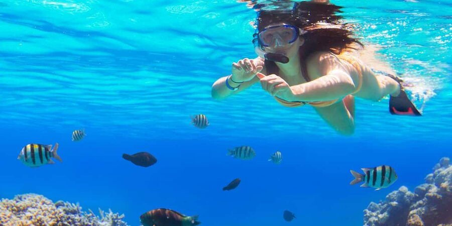 Ka'anapali Beach: Coral Reef Snorkel and Turtle Spotting - Key points to know before booking