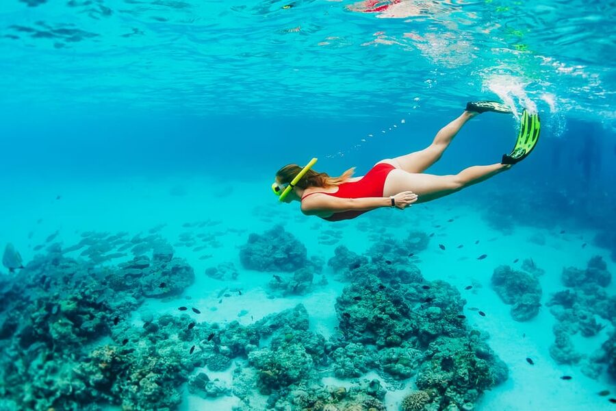 Ka'anapali Beach: Coral Reef Snorkel and Turtle Spotting - Reaching the reef and looking for turtles