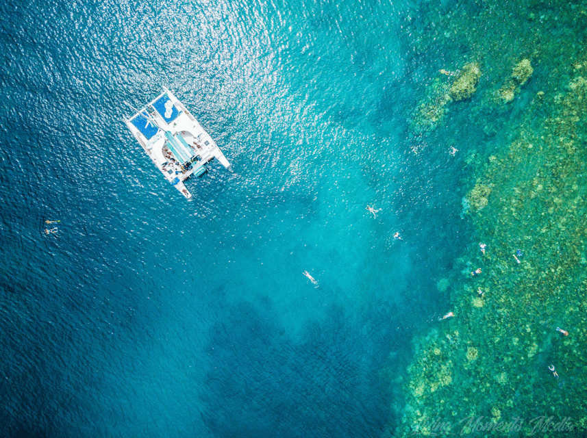 Ka'anapali Beach: Coral Reef Snorkel and Turtle Spotting - Is $134 a fair price?
