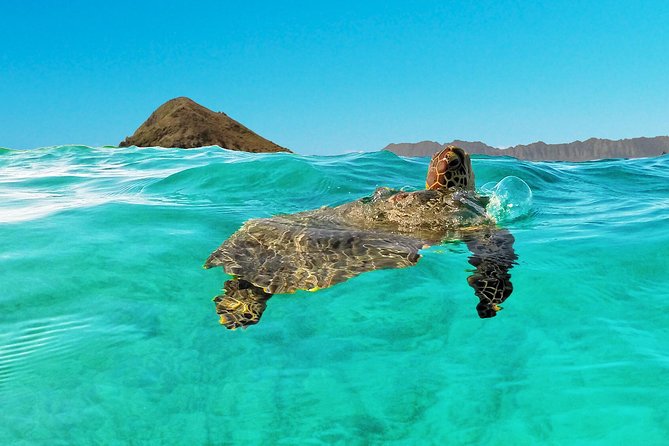 Kailua Bay, Oahu: Epic Kayak and Snorkel to Islands - Lanikai Beach: pretty water and variable snorkeling