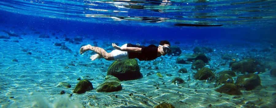 Kailua Kona: Dolphin, Sea Cave and Captain Cook Snorkel Tour - What this Kona tour is really like