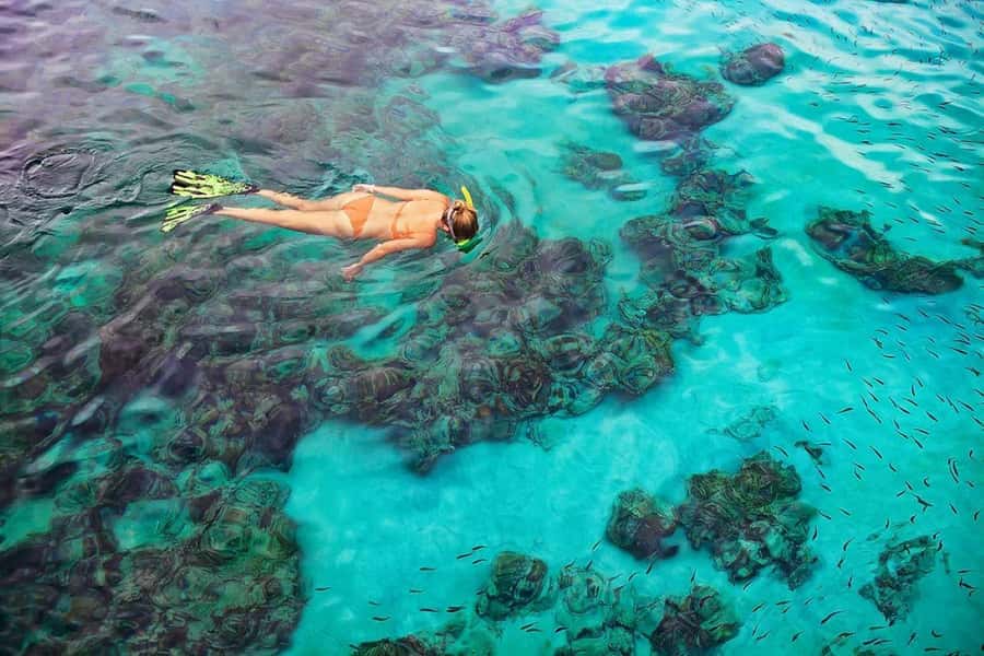 Kailua Kona: Dolphin, Sea Cave and Captain Cook Snorkel Tour - The Zodiac ride along the Kona coast