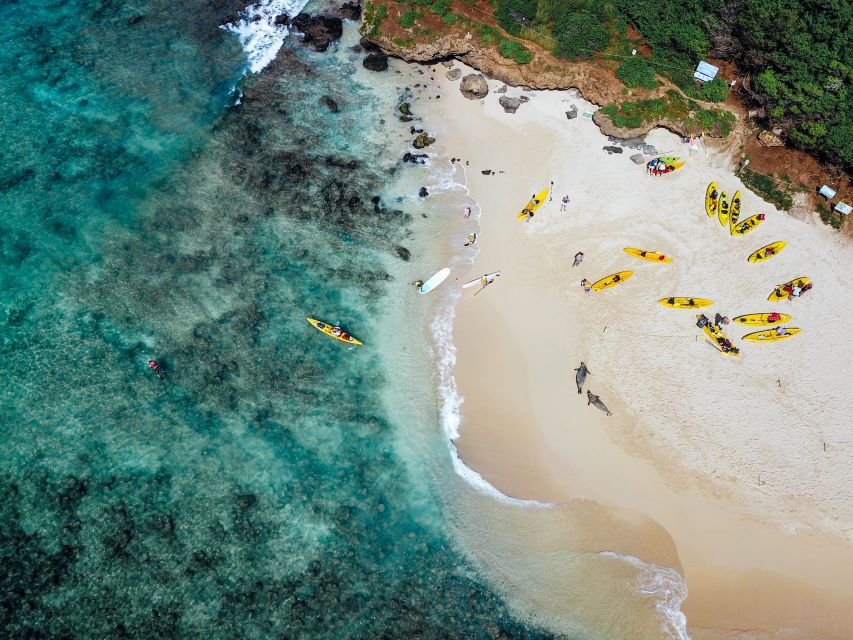 Kailua: Mokulua Islands Guided Kayak and Snorkeling Tour - A simple island picnic with useful fuel