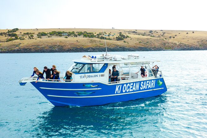Kangaroo Island - Swim with Dolphins/Seals/Coastal Snorkel - Key things to know before you book