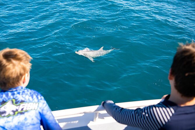 Kangaroo Island - Swim with Dolphins/Seals/Coastal Snorkel - Staff, safety, and the practical side