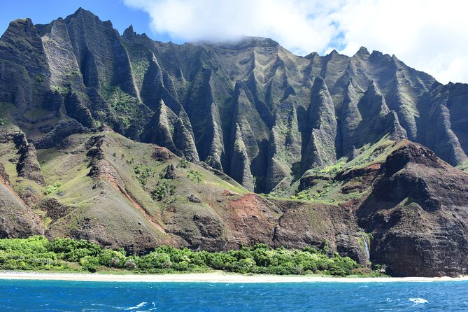 Kauai: Na Pali Coast Super Raft Snorkel Adventure - Dolphins, whales, turtles, and other wildlife