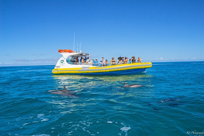 Kauai: Na Pali Coast Super Raft Snorkel Adventure - Snorkeling with tropical fish and turtles